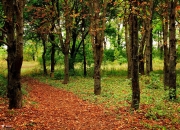 雷火电竞官网-慈善世纪战，国米主场迎战巴拉圭联队，莱万戴帽诠释硬仗之王本色