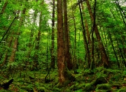 雷火电竞入驻-舆论的冰火两劫，抢七之夜，戈贝尔用沉默的回击让所有质疑者失语
